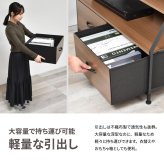 棚付きリビングチェスト Regal ロータイプ（引き出し2杯） ONLS0387 引出し収納 テレビボード リビング収納 シンプルスタイル モダン 角型 木製 オープンラック幅94cm 奥行41.5cm 高さ48.5cm