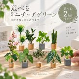 ミニチュア 観葉植物 選べる2点セット フェイクグリーン 鉢植え ドールハウス ジオラマ ミニチュア雑貨 インテリア 撮影小物 デスク 飾り ハンドメイド