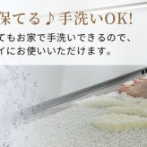 ラグ カーペット プロムナード玄関マット 45×60cm 手洗いOK すべり止め HOT対応・床暖房対応 立体感 日本製 新生活