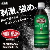2ケース アサヒ飲料 ウィルキンソン ジンジャエール（辛口） 炭酸水 WILKINSON 500ml 2箱(48本入)