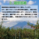 新物！青森県産　りんご　王林（おうりん）訳あり　ご家庭用　小玉　50-70玉　10kg　送料無料！