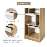 収納家具 ラック ディスプレイ ALE-1260 ミドルタイプ 日本製 フラップ扉 収納棚 扉付き 3段 本棚 幅60 高さ120 飾り棚 北欧 おしゃれ リビング収納 マガジン デザイン 木製 A4
