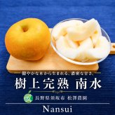 梨 南水 長野県産 約5kg 樹上完熟 松澤農園 北信州須坂産 産地直送 なし ナシ 秀品 ギフト 贈答物 お中元 お歳暮 果物 フルーツ 送料無料