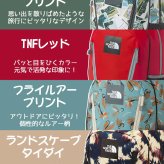 ノースフェイス バッグ キッズ リュックサック デイパック バックパック キッズパックス ラウンディ 22L NMJ72358 男の子 女の子 キッズ 送料無料 プレゼント ギフト ラッピング無料正規代理店