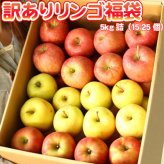 青森りんご 5kg 訳あり 送料無料 福袋 北海道産 青森産 リンゴ ※沖縄は送料別途加算 到着日指定不可