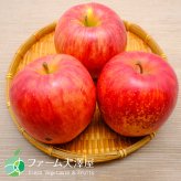 養田さんのはねだしりんご　シナノドルチェ　サビ・キズあり　家庭用　約5kg　8-23玉　長野県志賀高原産
