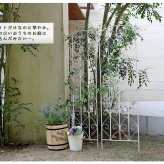 フェンス ブランティーク ホワイトアイアントレリスH147 4枚組 アンティーク モダン スタイリッシュ シンプル アイアンフェンス ファニチャーガーデン インテリア 家具 天然 おしゃれ カフェ 北欧 アーチ ベンチ スチール エクステリア 新生活