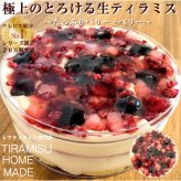  TVで紹介 ティラミスケーキ クリスマス お歳暮 たっぷりとろけるベリーのレアティラミス (2~4人分) 高級 お取り寄せ ティラミス ホール スイーツ ギフト 誕生日 バースデー 人気 送料無料 可愛い ランキング プレゼント ケーキ お菓子 洋菓子 内祝 ※一部地域地方別追加送料あり