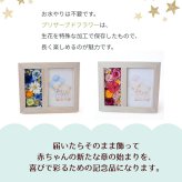 プリザーブドフラワー 【ジェンダーリビールフラワー02】　ジェンダーリビールとは、赤ちゃんの性別を 旦那さんや家族、友人にお披露目するイベントのことです。性別発表 花 フラワー 妊娠 サプライズ 男の子 女の子 帰省 妊娠報告 可愛い かわいい ホワイトデー イベント 性別 敬老の日