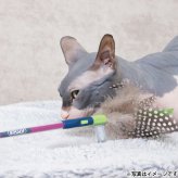ジョイサー JOYSER フェザーワンド 猫用おもちゃ ピンク