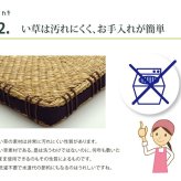 クッション 七島クッション 七島藺草 シート 『コート マチ付』 約40×40cm 2枚組