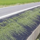 50平米分セット 二層構造防草シートセット クラピア 植栽用 （50m2） 2m幅 25m巻 + J字型ピン （300本） 二重構造の高耐久性10年