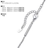 ライオンハート スレンダリー チェーンネックレス スピガ サージカルステンレス 47cm 55cm 65cm シルバー 金属アレルギー対応 だけ のみ メンズ ブランド