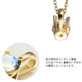 ムーンストーン ネックレス K14 ゴールド ネックレス ハワイアンジュエリー ネックレス 14K K14ゴールド 14金 イエローゴールド ピンクゴールド ホワイトゴールド 6月誕生石 一粒 ギフトラッピング可能 プレゼント ハロウィン 【品番：CG-GP501-6】