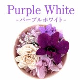 買って被災地応援!15時即日出荷 プリザーブドフラワー  (ミニョン)  ペット 法事 亡くなった 仏花  お供え 位牌花 写真付き 遺影 ペット用 仏具 虹 猫 犬 鳥 ハムスター1周忌 お悔み 供養  3回忌 13回忌 小さめ 虹の橋