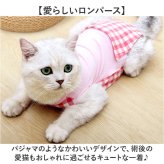 猫 術後服 通販 避妊術後 服 キャットウェア ネコ ねこ つなぎ ロンパース カバーオール パジャマ ルームウェア 部屋着 ペット服 洋服 4本足 着せやすい 散歩 猫用品 ペット用品 ペットグッズ ペット用 かわいい 可愛い おでかけ お出かけ お出掛け