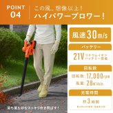 充電式ブロワー ファミラ コードレス 2WAY ブロワー 予備バッテリー付き バキューム 最大風速30m/s 送風 吸塵 集じん 落ち葉 掃除 洗車 水滴飛ばし DIY ガーデン 庭 ベランダ 21V 軽量 ノズル付き エアポンプ ダストパック 家庭用 父 ご両親 敬老の日 プレゼント ギフト