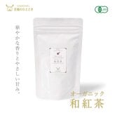 国産無添加 フルーツティー＆水出しボトルセット｜和紅茶 国産ドライフルーツ 砂糖不使用 フルーツティー 水出し茶 アイスティー お茶ギフト おしゃれ ギフト 誕生日 お祝い 母の日 お歳暮 お年賀 クリスマス プレゼント