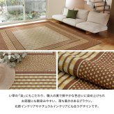 夏ラグ 夏用カーペット 国産 い草ラグ エルモード 約191×191cm センターラグ アクセントラグ モダン ブラウン
