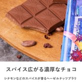 第3世界ショップ 有機ウインターチョコレート チョコレートオーガニック フェアトレード/かわいい/おしゃれ 人気/スパイス/パッケージ/アート/バレンタイン プチギフト プレゼント/お菓子/有機JAS認証/