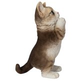 置物 猫 おねだり濃茶トラ白猫 高さ23cm woobia ウービア リアル かわいい おしゃれ 玄関 インテリア オブジェ ガーデン 茶トラ おねだり ねこ ネコ 動物 アニマル 癒し 棚 北欧 プレゼント ギフト 新築祝い 猫好き