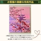数字塗り絵 大人の塗り絵 ナンバーペイント数字入り 塗り絵 脳トレ 趣味 おうち時間 絵画キット アート 癒し プレゼント 誕生日 母の日 父の日 敬老の日 【無料ラッピング】【送料無料】