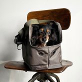 ペット キャリーバッグ 通販 PUFF 犬用キャリーケース 猫用キャリーバッグ トートキャリー ボストンキャリー ショルダーキャリー 小型犬用キャリー 超小型犬キャリー お出かけ ペットキャリーバック dog bag おしゃれ シンプル 中型犬 ペットバッグ