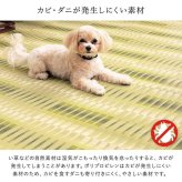 ラグ カーペット 洗える ござ 日本製 国産 丈夫 除菌スプレー対応 敷詰 敷物 アウトドア レジャー ペット 江戸間6畳（約261×352cm）