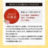 正月飾り おしゃれ 水引 リース しめ縄 注連縄 しめ飾り お正月飾り 玄関 モダン 国産 長生堂オリジナル 松青薔薇 フック付き 迎春 お正月飾り 干支 十二支 門松 .リース.
