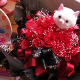 誕生日プレゼント 彼女 恋人 ネコ 猫 ねこちゃん 枯れない赤バラ 12本 かすみ草 花束風ギフト プリザーブドフラワー入り ケース付き 赤バラいっぱい 置いて飾れるアレンジメントタイプ カスミ草
