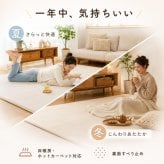 ラグ 極厚45mm ロボット掃除機対応 1.5畳 2畳 3畳 130×190 190×190 190×240cm 厚手 防音 ΔLL-8 はっ水 つまずきにくい 斜めフチ 滑り止め 床暖房対応 オールシーズン 無地 低ホルムアルデヒド ラグマット 北欧