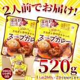 富良野市場 ゴロッと玉ねぎと骨付きチキンのスープカレー 2袋 スープカレー 惣菜 温めるだけ レンチン ご飯のお供 おかず ポスト投函便