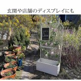 ガーデン エクステリア プランターBOX付きフェンス「TWILL」 ツイル TW001 プランター 付き アイアン フェンス スタンド パーテーション 間仕切り リビング オフィス 屋外 室内 店舗 おしゃれ 北欧 壁掛け 目隠し 日除け 庭 ベランダ 新生活