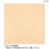 トレシー カラークロス 24×24cm A2424-YOO G-48 ピーチ 日本製 超極細繊維 メガネ拭き スマホ 液晶画面 レンズクリーナー 汚れ落とし クリーニングクロス 繰り返し使える 洗濯可能