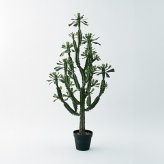 観葉植物 造花 ユーフォルビア BROWN 全高約147cm 大型 フェイクグリーン 本物そっくり おしゃれ インテリア 人工観葉植物 アーティフィシャルグリーン オフィス 店舗 ホテル 開店祝い 室内 多肉植物 フェイク