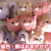 ネコ ねこ 猫入り フラワーアレンジメント 誕生日 デザイナーにおまかせ 生花使用 