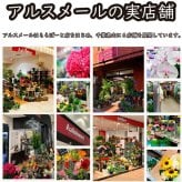 リンドウ りんどう 竜胆花 秋  アレンジメント アレンジ ラッピング無料 お祝い 誕生日 開業祝い 移転祝い 昇進 就任 還暦 フラワーギフト プレゼント お花のプレゼント