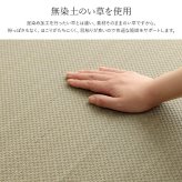 ベッド 寝具 シーツ 敷きパッド 国産 日本製 さらさら 吸汗 調湿 消臭 お手入れ簡単 セミダブル 約110×200cm