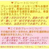 ティラミスロールデコレーションケーキ　[誕生日ケーキ バースデー 記念日 アイスケーキ ロールケーキ マスカルポーネ コンパクトケーキ]