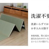 ベッド 寝具 い草 ユニット 畳 軽量 抗菌防臭 消臭 防音 断熱性 お手入れ 簡単 楽 収納 便利 約100×200cm
