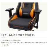 オフィスチェア AKRacing(エーケーレーシング) Pro-X V2 Giants(読売巨人軍モデル) ジャイアンツ ゲーミング 4Dアジャスタブルアームレスト ヘッドレスト ランバーサポート オフィス Pro-XV2Giants オフィス椅子 イス 新生活