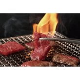萬野屋 萬野和牛 焼肉モモ・ウデ (6620-100) [お中元][お歳暮] ※送料無料(北海道・沖縄・離島への配送不可)