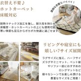 ラグ カーペット プロムナード玄関マット 45×60cm 手洗いOK すべり止め HOT対応・床暖房対応 立体感 日本製 新生活