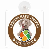 カーサイン 高齢者マーク SENIOR SAFE DRIVER ワイマラナー 車内用 吸盤タイプ 収れん火災防止タイプ 肉球 日本製 車 ステッカー