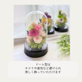 プリザーブドフラワー仏花 ～凜華（りんか）～ドーム型 輪菊 お彼岸 お盆 お仏壇 お悔み 命日 法要 新盆 初盆 法事 ドーム型 枯れない花 供養 ギフト
