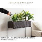 ガーデン エクステリア フラワースタンド 室内 白 プランタースタンド ラタン 玄関 幅60 花台 籐 高さ70 プランター ハイ スリム 1段 おしゃれ 高め アイアン モダン インテリア スチール 北欧 室内用 玄関先 玄関前 玄関ホール 多肉 家具