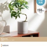 【高さ55cm】光触媒人工観葉植物 パキラ 幅35cm×奥行35cm×高さ55cm コンパクト 天然木 お部屋に気軽に飾れて空間を美しく彩るフェイクグリーン 本物の植物のようなリアルな質感とインテリアに馴染む風合いが魅力です