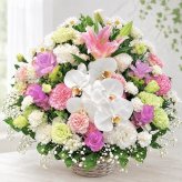 お供え花 お悔やみ 生花アレンジメント LLサイズ 高さ約50cm フラワーアレンジメント 供花 仏花 命日 お盆 お彼岸 法事 四十九日 一周忌 三回忌 枕花 送料無料【北海道・沖縄・九州・四国・中国・離島は配送不可】