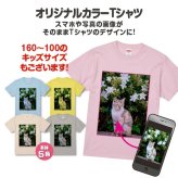 写真入り Tシャツ オリジナル 写真プリント 1枚から 名入れ・文字入れ ペット・うちの子グッズ 子供の絵 プレゼント 卒業・卒団記念品 半袖 5色 キッズサイズ有【送料無料(一部地域除く)】