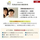  遺毛ケース 桐 写真入り ペット 毛 ひげ 髭 ヒゲ 犬 猫 鳥 ハムスター うさぎ 名入れ フルカラー メモリアルケース メッセージ 愛犬 愛猫
